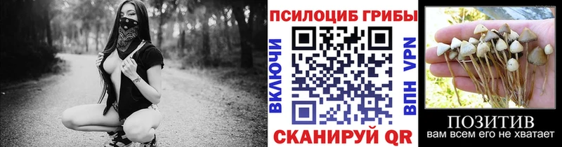 Псилоцибиновые грибы мухоморы Вязники