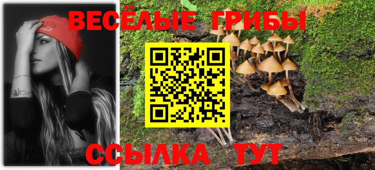 Псилоцибиновые грибы Magic Shrooms Вязники