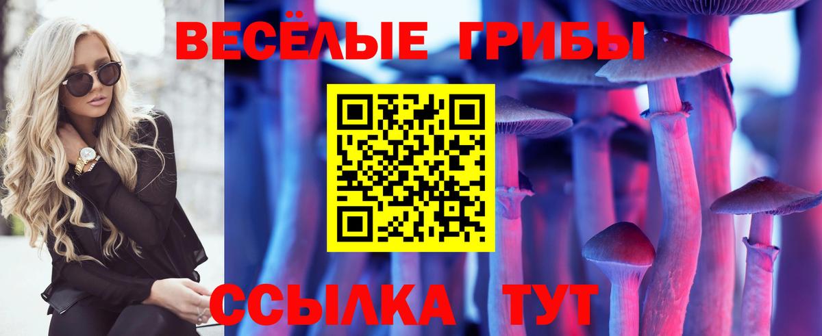 Галлюциногенные грибы Вязники