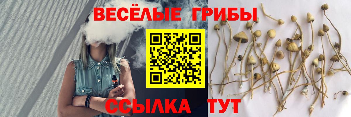 Вязники  Псилоцибиновые грибы прущие грибы  Вход с VPN 
